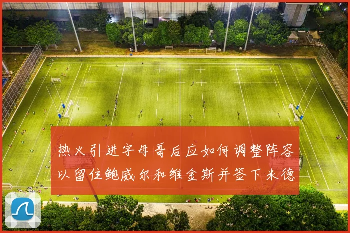 热火引进字母哥后应如何调整阵容以留住鲍威尔和维金斯并签下米德尔顿