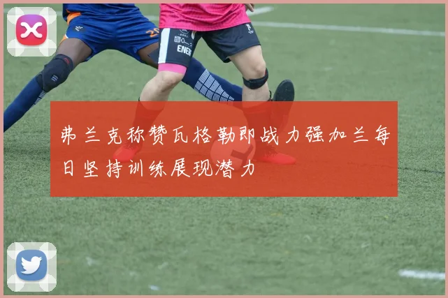 弗兰克称赞瓦格勒即战力强加兰每日坚持训练展现潜力