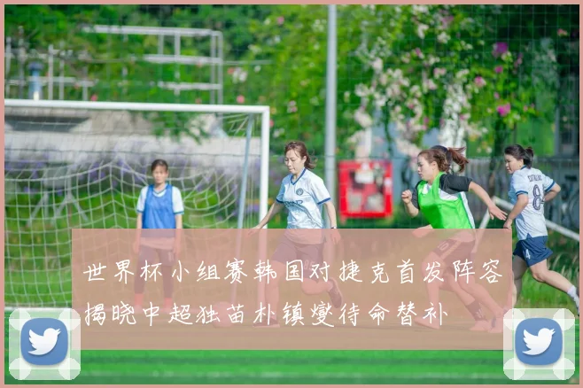 世界杯小组赛韩国对捷克首发阵容揭晓中超独苗朴镇燮待命替补